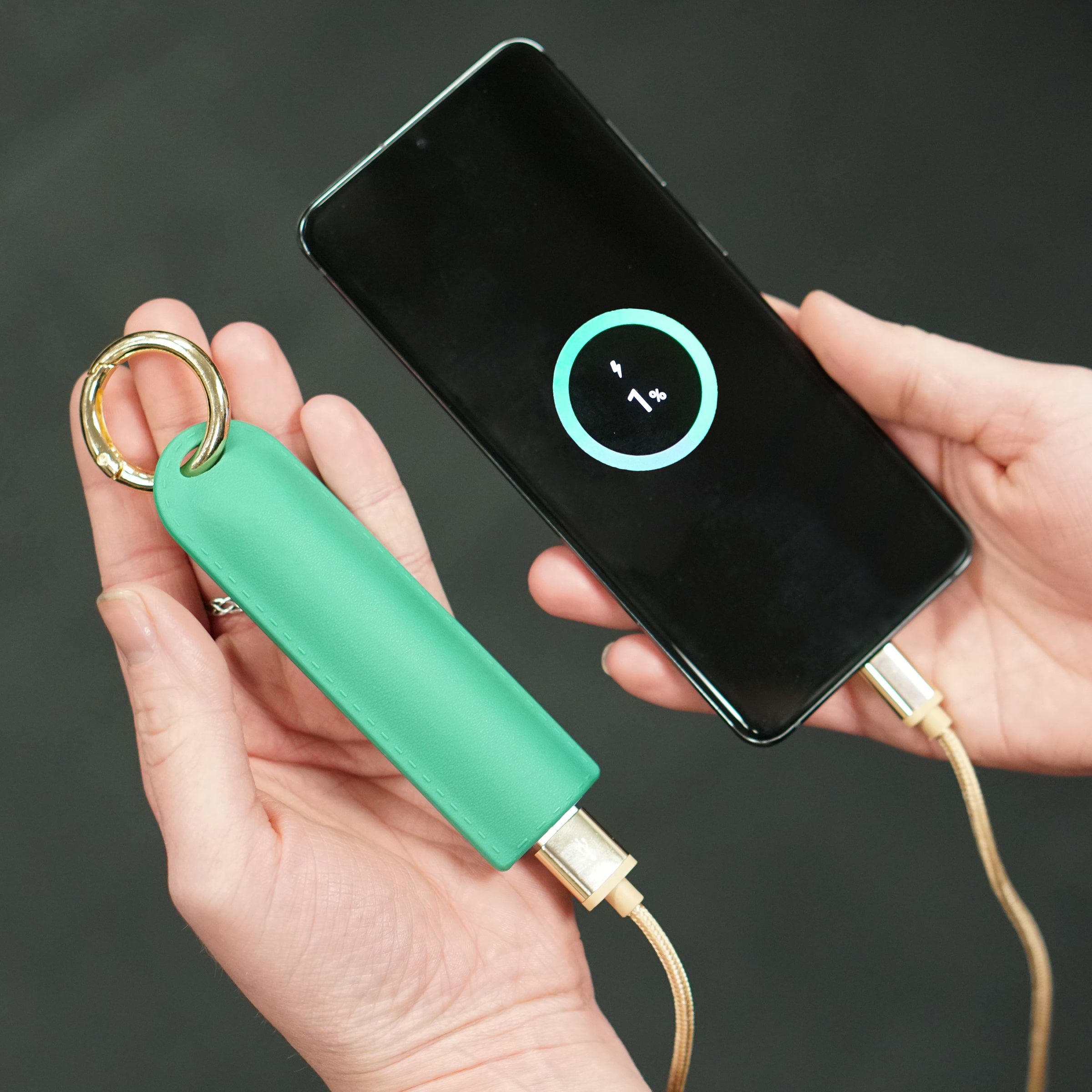 2-Pack Purse Keychain Power Banks